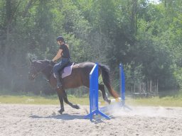 img_3581_web